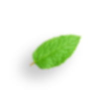 leave 2 home banner
