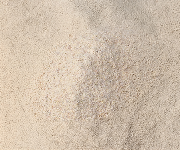 Dry Mango Powder