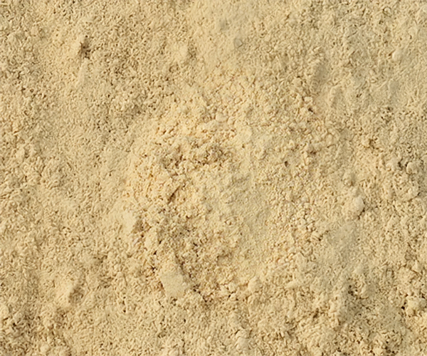 Ginger Powder