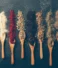 The Role of Dehydrated Spices in Modern Cooking